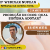 [Foto não Encotrada!]